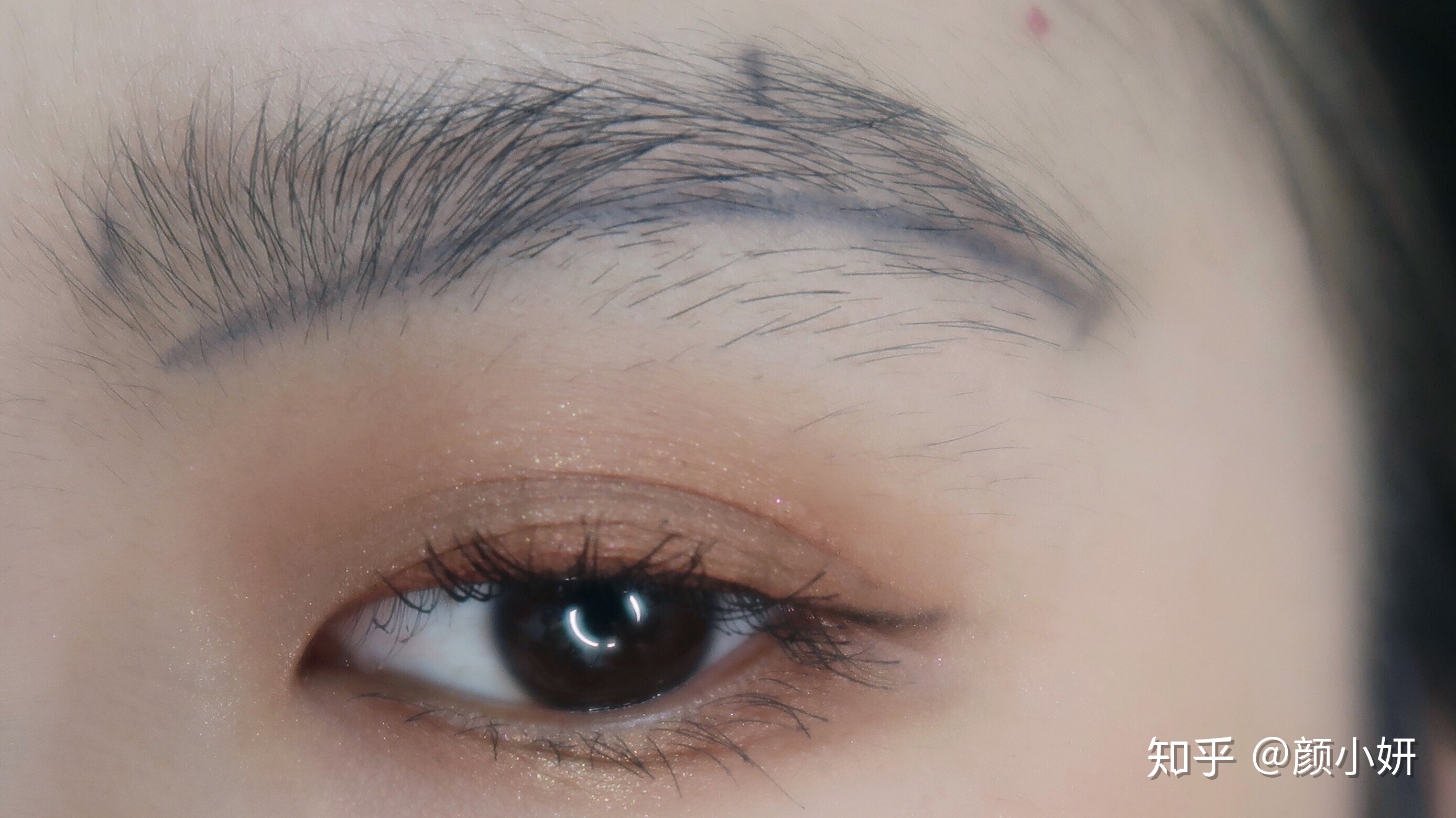 世界机器人大会看点多 中国逆势增长成最大亮点