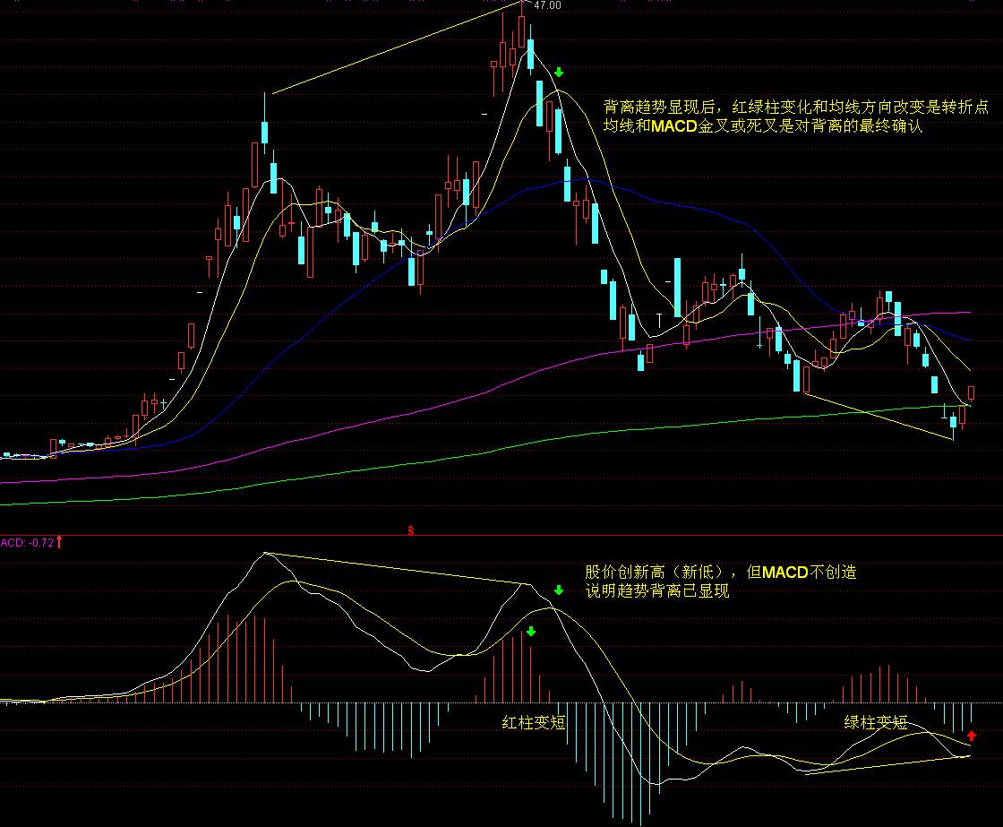 汇聚港珠澳青年创新活力!2025年“珠海青年菁学”学习分享交流会举行